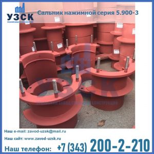 Сальники нажимные серия 5.900-3 в Петропавловске-Камчатском